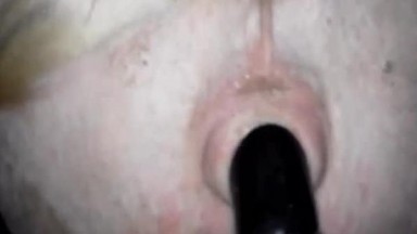 Зрелый мужчина снимает на видео как трахает свинью черным дилдо