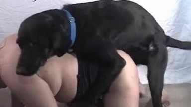 Толстушка прогнулась перед собакой для секса на камеру. Зоо ебля онлайн