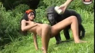 Порно с обезьяной - зоо видео секса примата с девушками